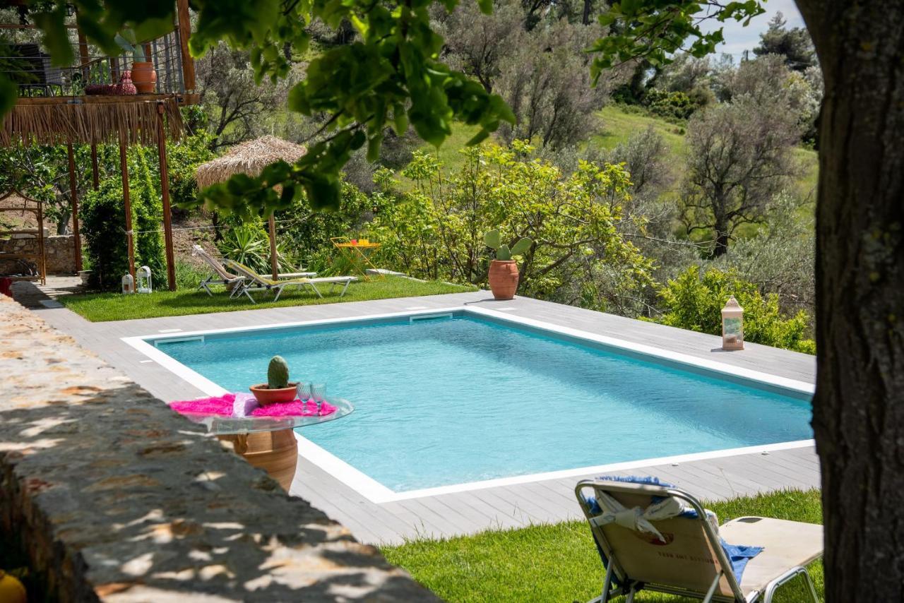 Calypso With Jacuzzi Pool & Sea View *