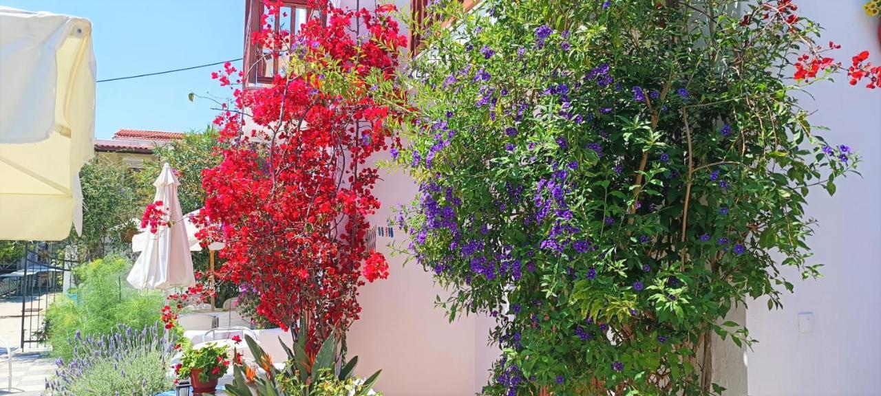 Amalthia * Skiathos Town