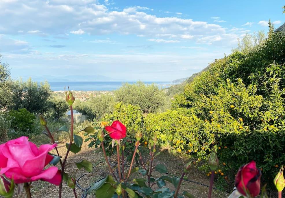 Holiday home Sens De Dieu - Private Luxury Diakopto