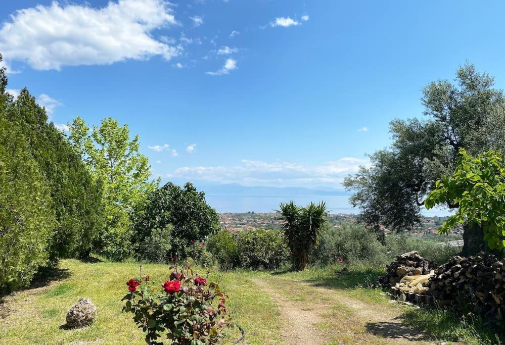 Sens De Dieu - Private Luxury Holiday home Diakopto