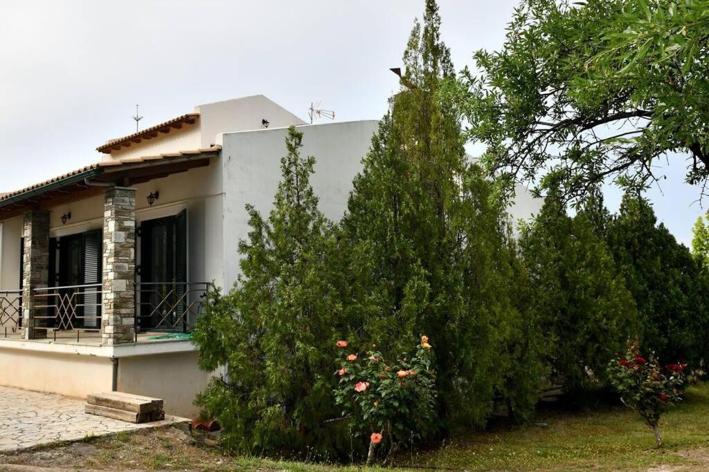 Sens De Dieu - Private Luxury