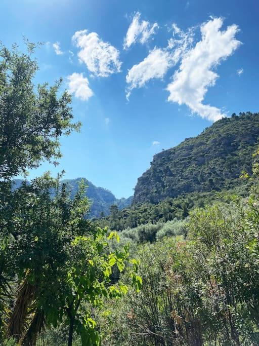 Holiday home Sens De Dieu - Private Luxury Diakopto