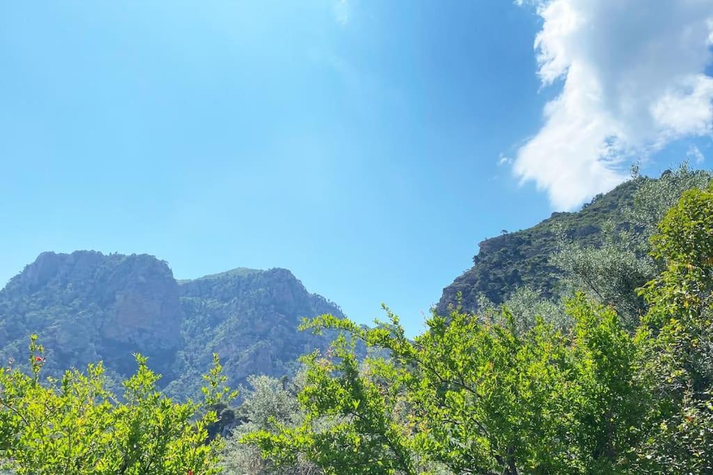 Sens De Dieu - Private Luxury
