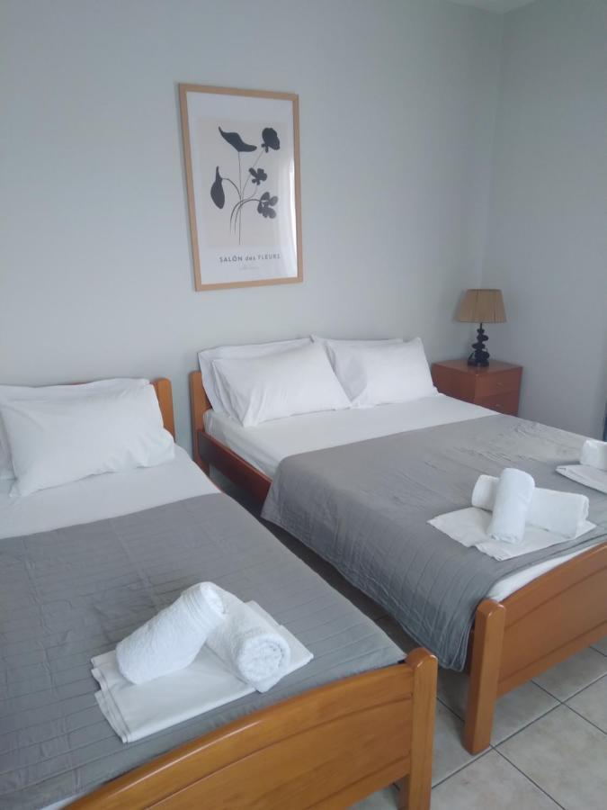 Apartment Polymnia