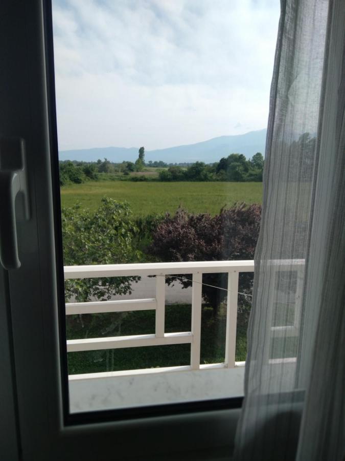 Apartment Polymnia *