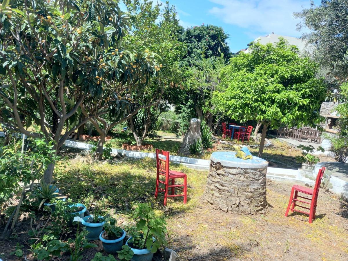 Villa Rena Batsi (Andros)