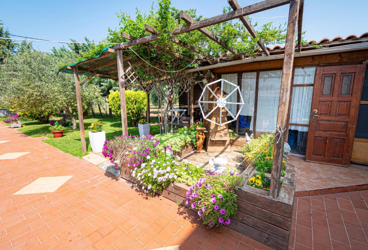 Frezia Complex - Frezia By Rentalspro Services Nea Potidaia Halkidiki Apartment
