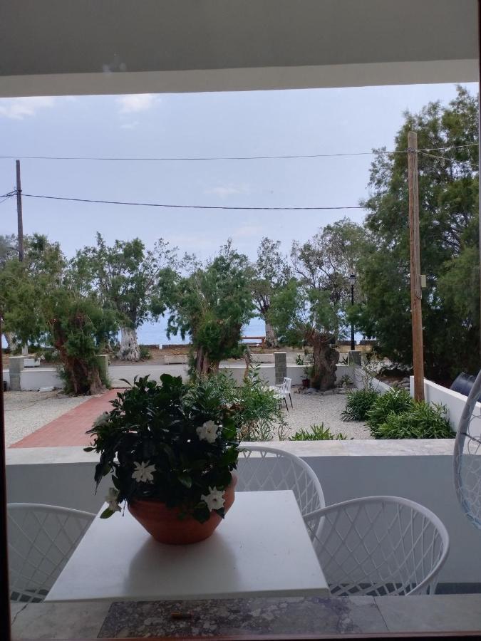 Hotel Zorbas *