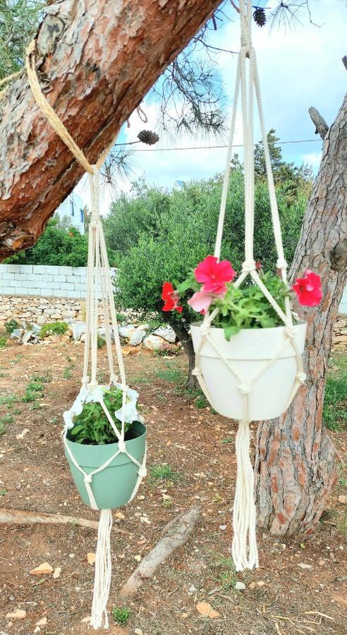 Apartment Eva House Dryos Paros Drios