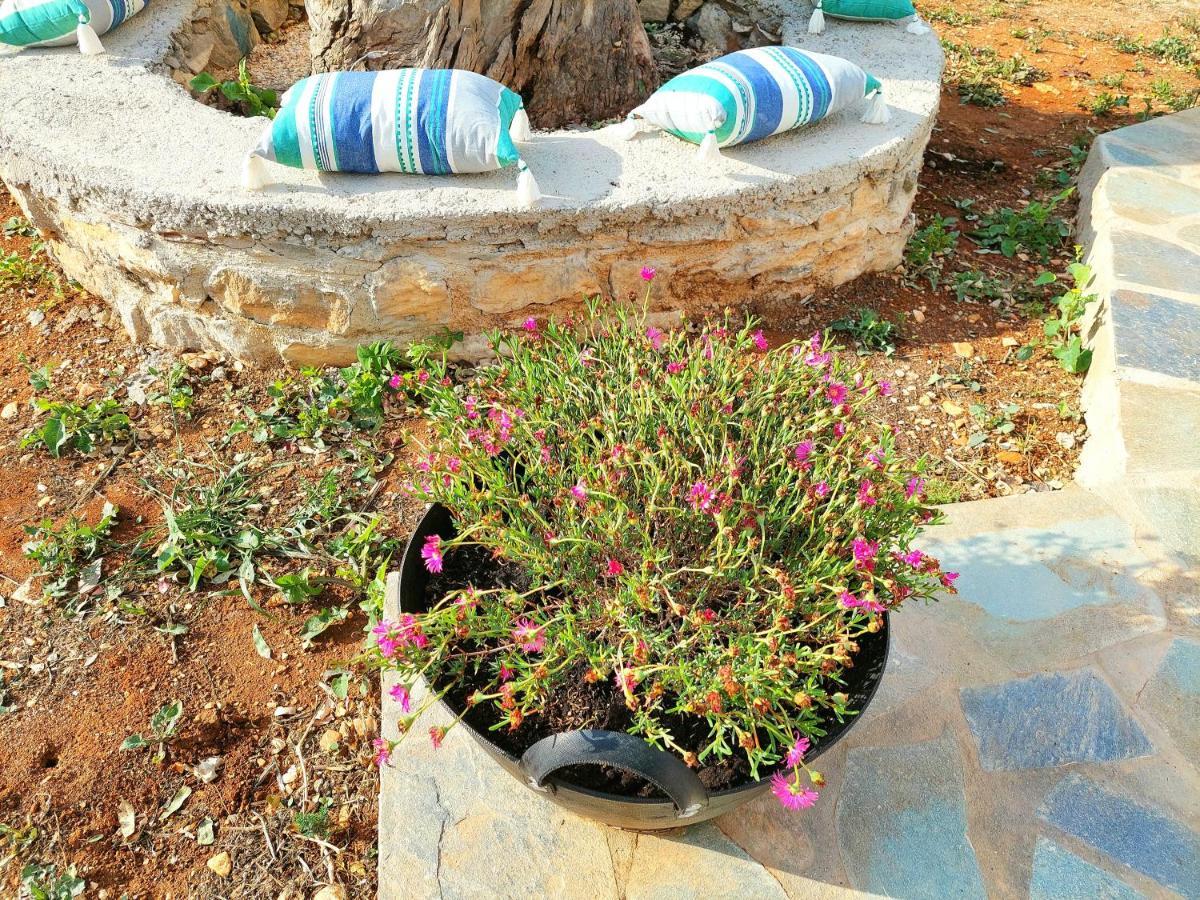 Eva House Dryos Paros