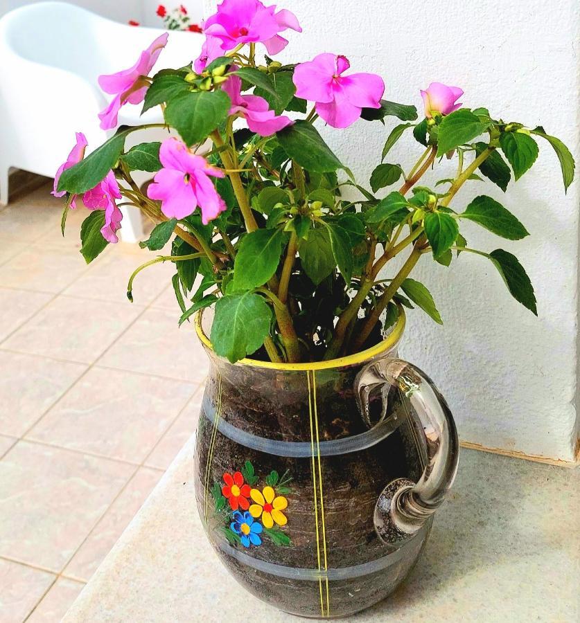 Eva House Dryos Paros Drios