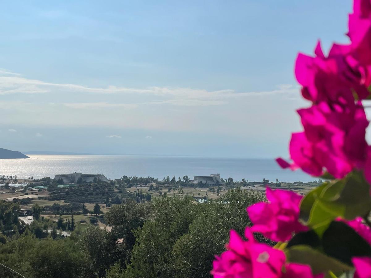 Villa Sithonian Neos Marmaras
