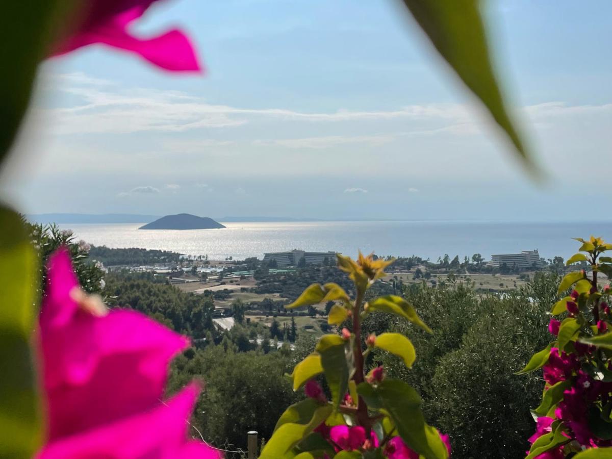 Villa Sithonian Neos Marmaras