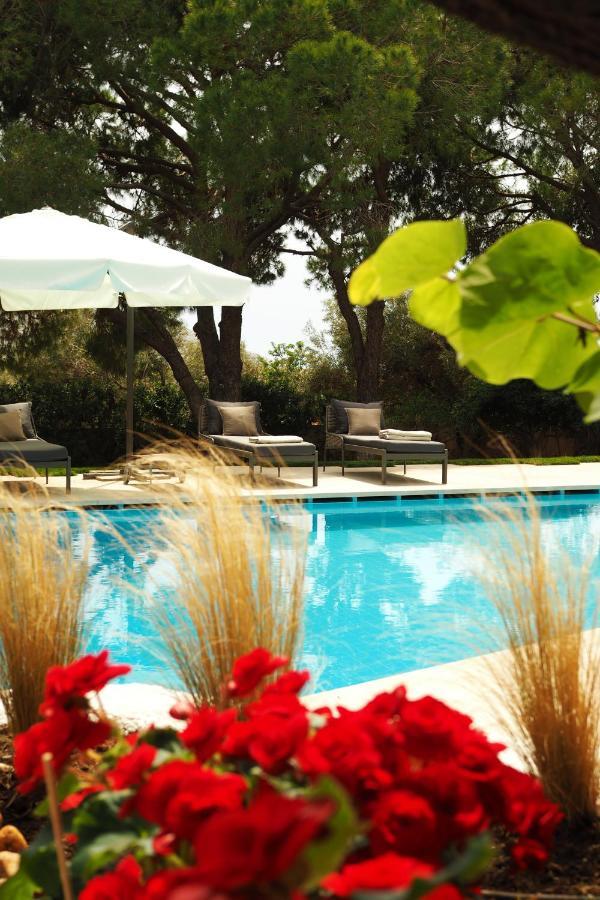 Oasis With Large Pool Athenian Riviera Lagonissi Lagonisi