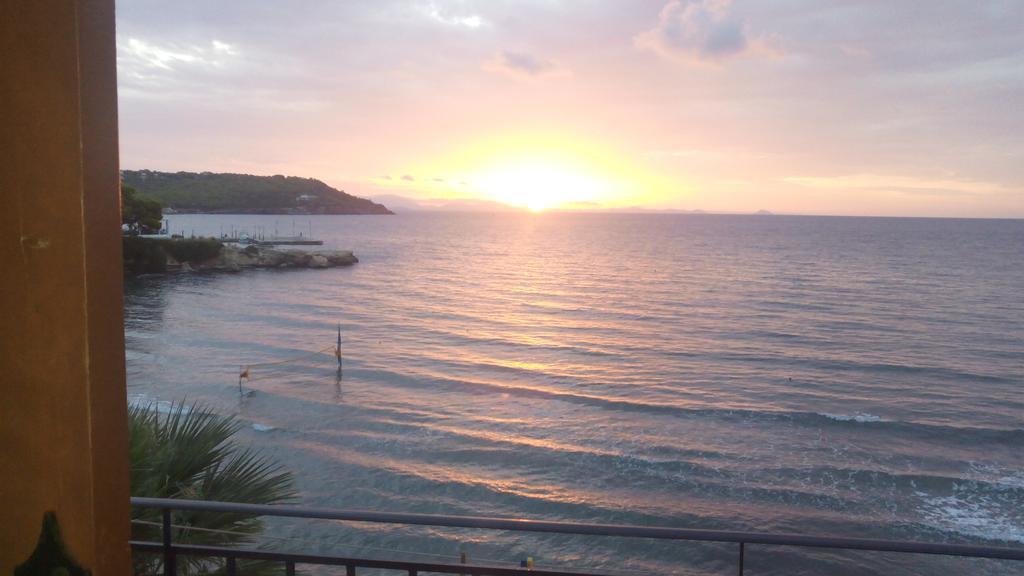 Hotel Oasis Theodoros & Litsa Galaris