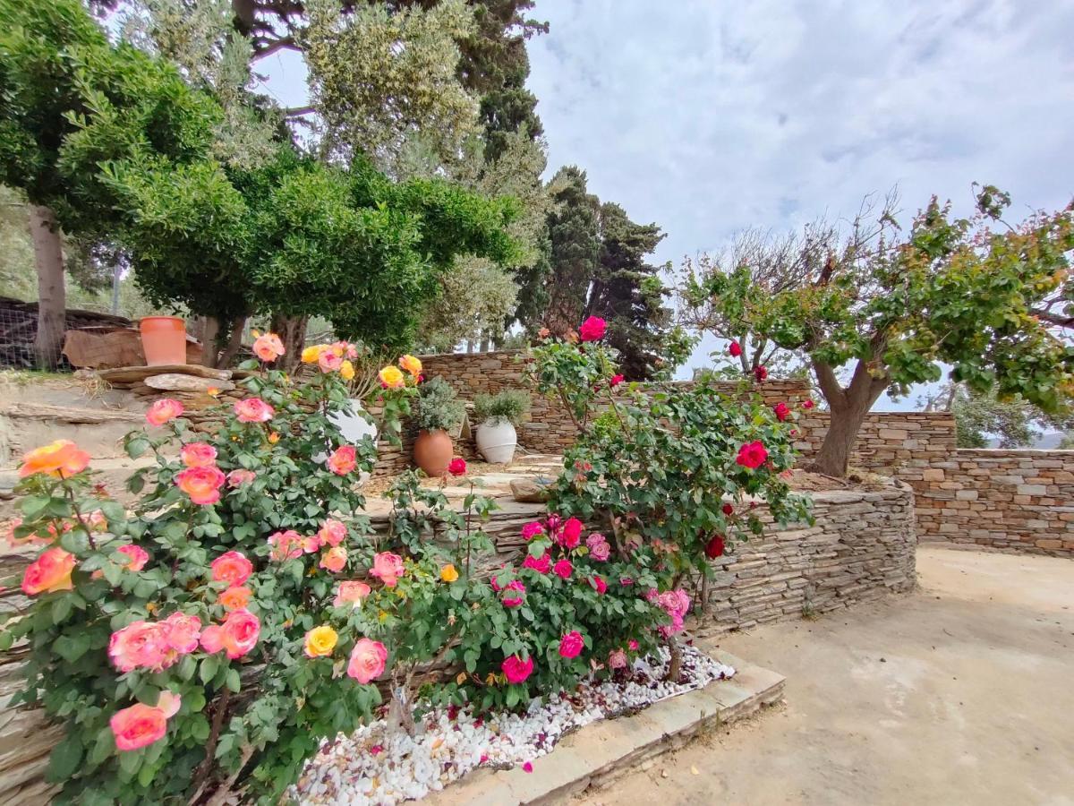 Amarienitas Holiday home Menites