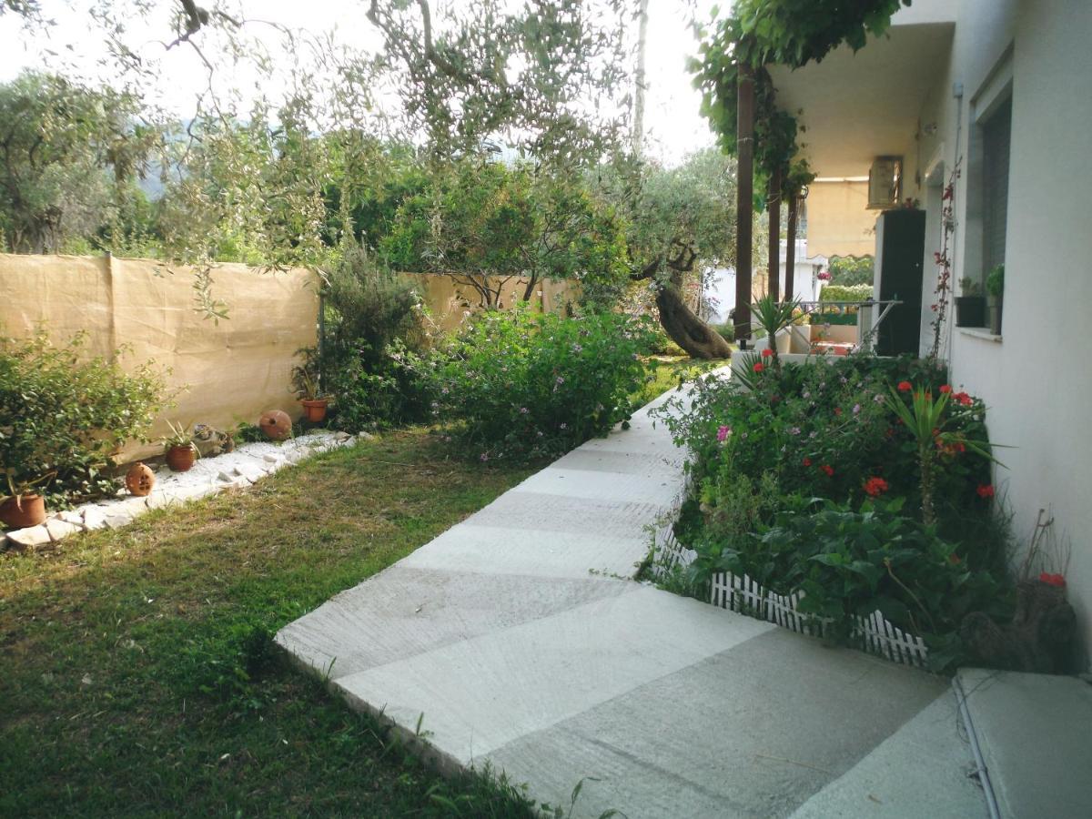 Port Pet Friendly * Limenas (Thasos)