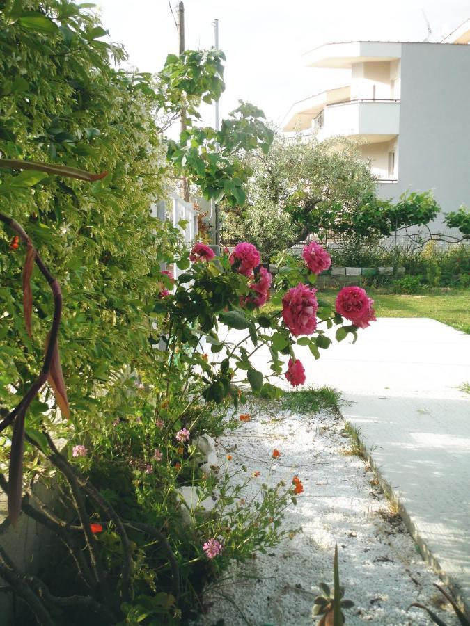 Guest house Port Pet Friendly *