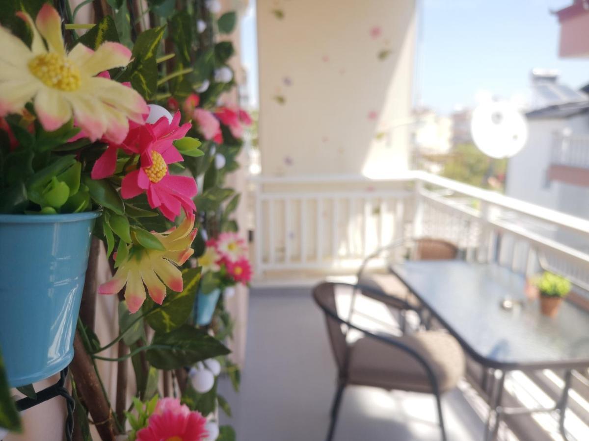 Aparthotel Vienni Paralia Katerinis