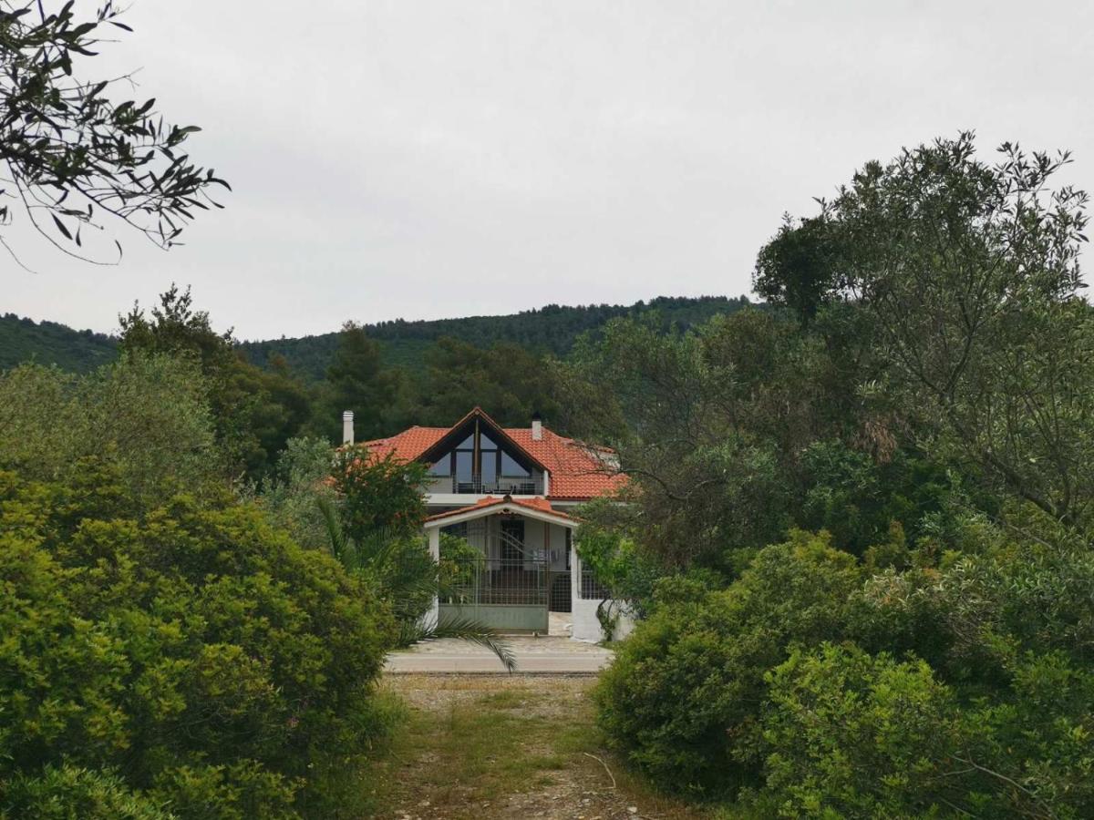 Villa Alex