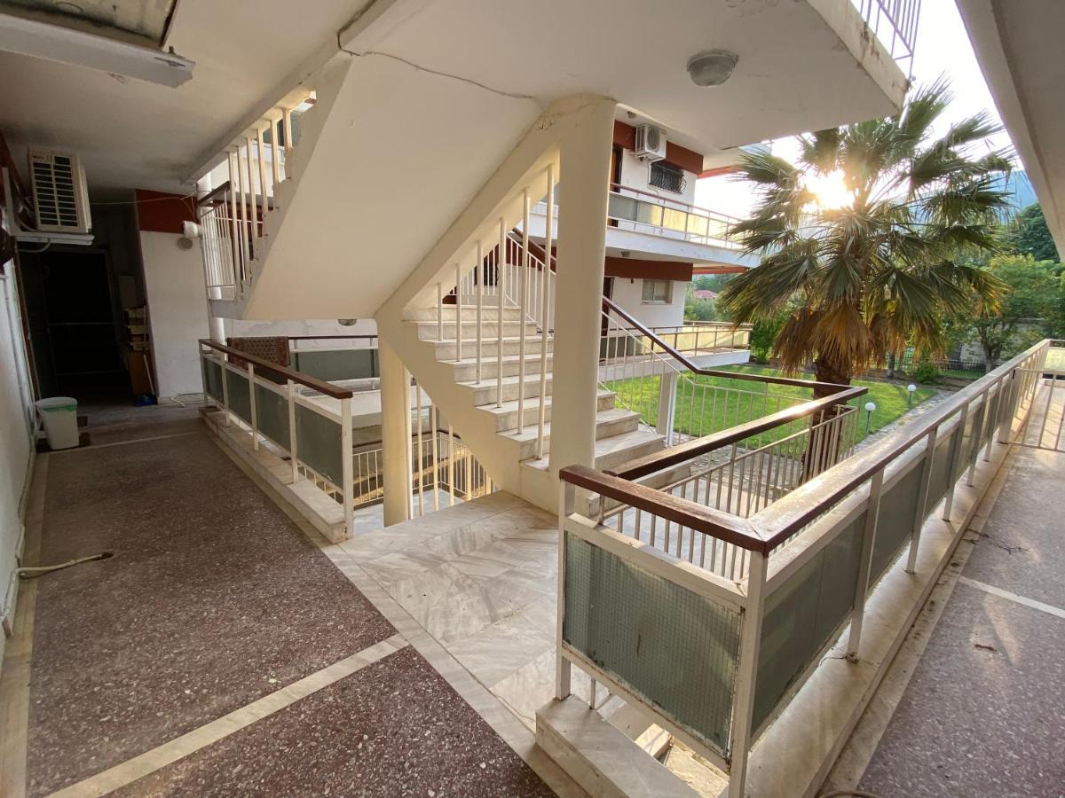 Renas House Apartment