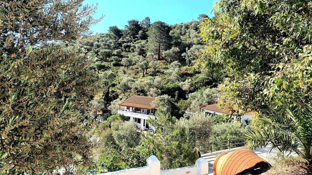 Studios Limnionas Apartment Marathokampos