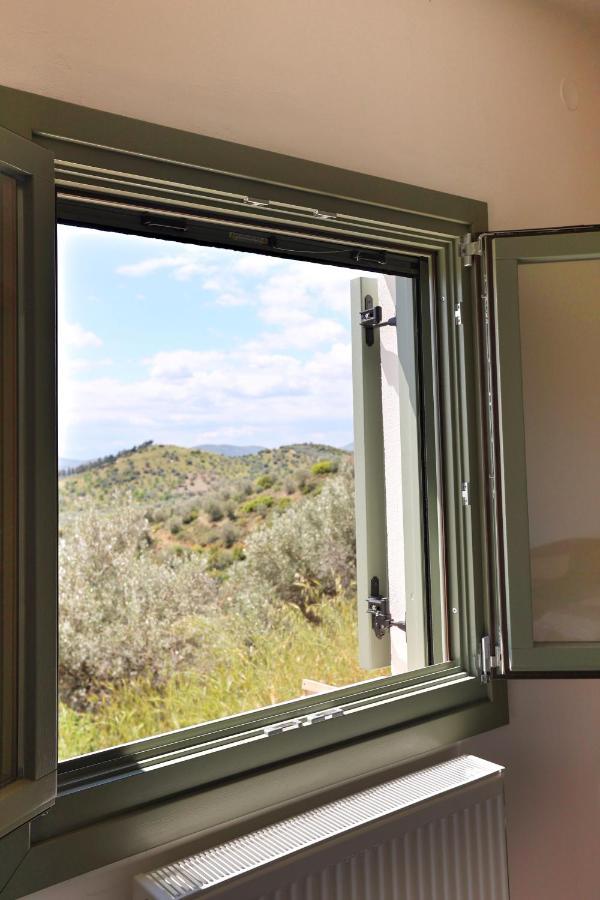 Little House In The Olive Grove *