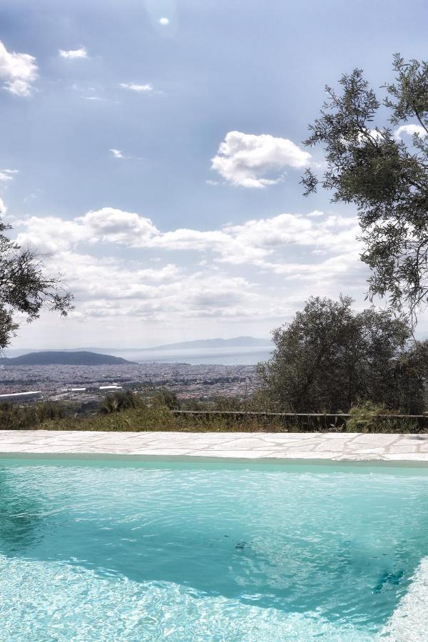 Admonis - In The Olive Grove * Melissatika