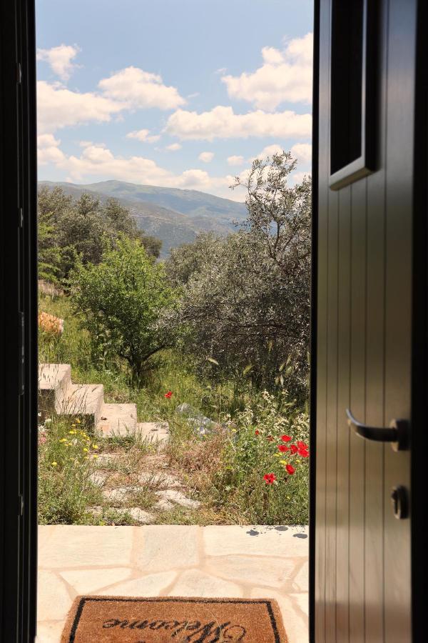Little House In The Olive Grove Apartment *