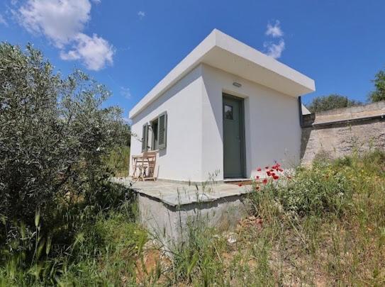 Little House In The Olive Grove