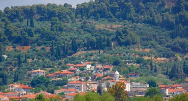 Homonatura. Sense Of Native Living. Pyrgos (Elis)