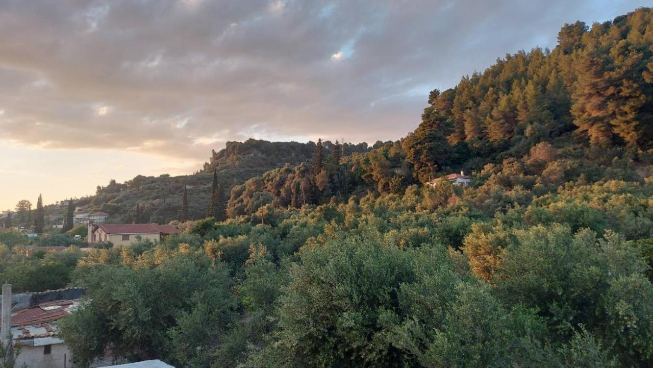 Homonatura. Sense Of Native Living. Pyrgos (Elis)