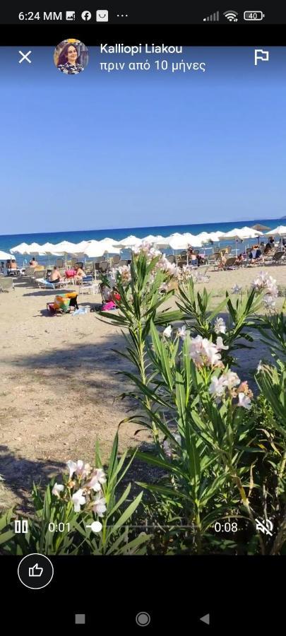 Apartment Athens Artemis Pool Sea Airport *