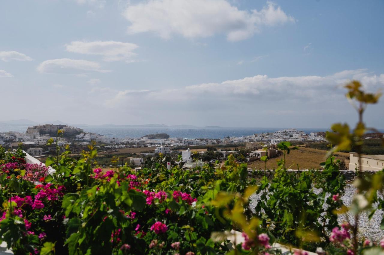 Petros & Naxos City