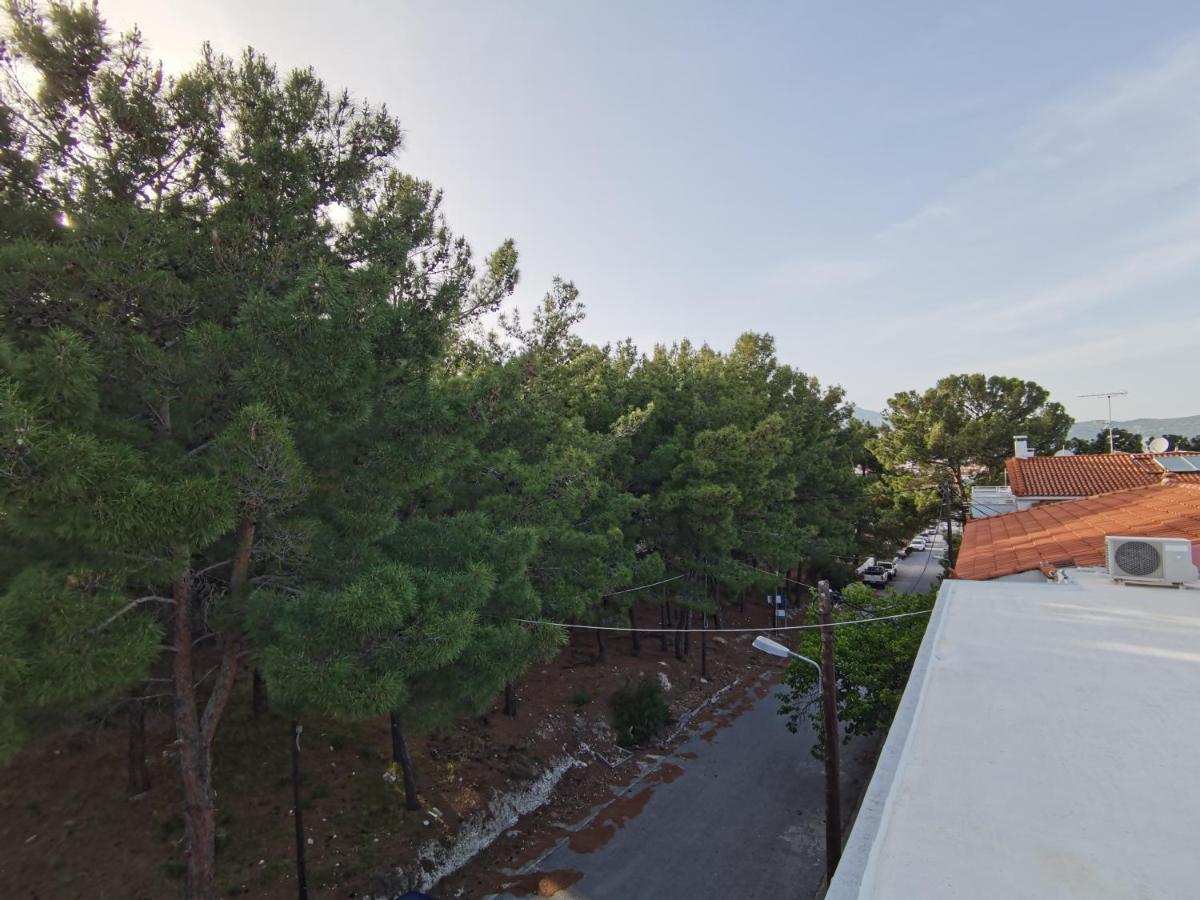 Apartment Evaggelia's Seaside Boutique