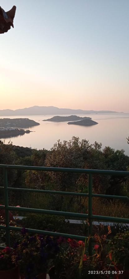 Axiothea Vasilias (Skiathos)