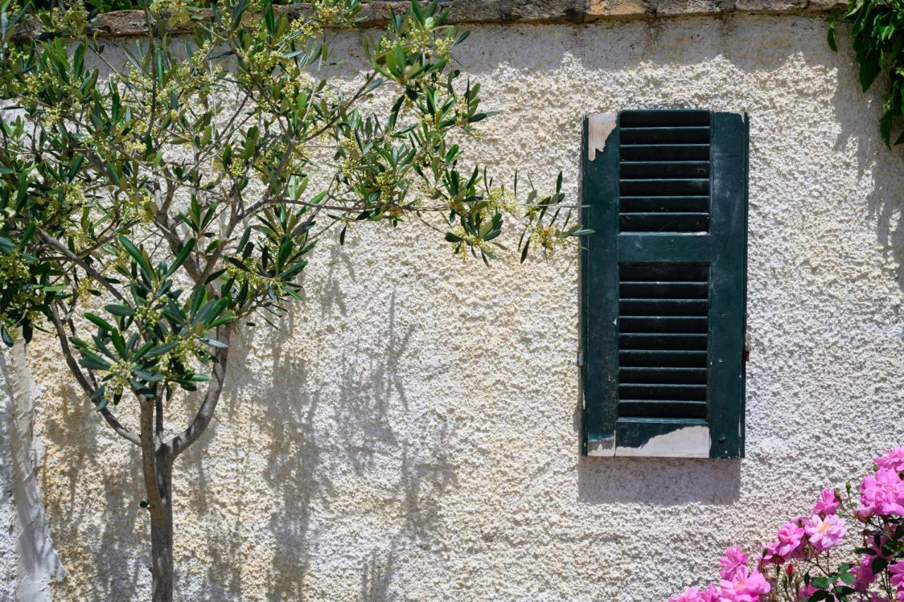 Harmony Corfu & Apartment Corfu (city)
