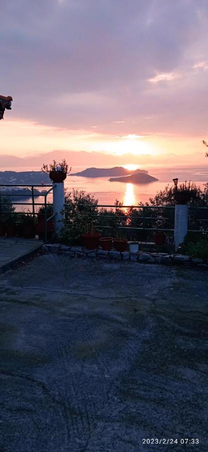Axiothea * Vasilias (Skiathos)