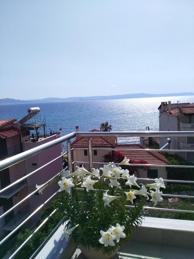 Apartment Alkioni's Nest Arkoudi
