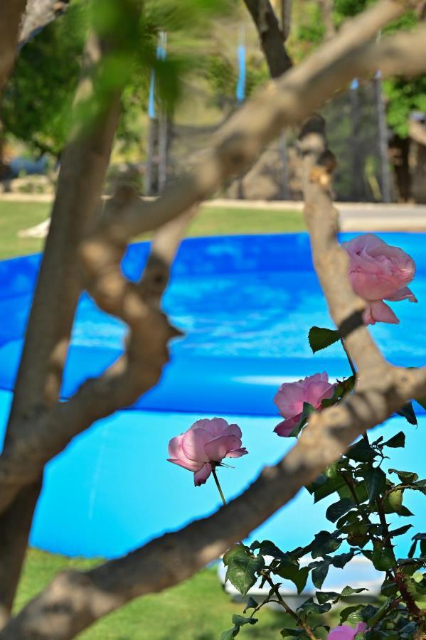 Holiday home Ventana Al Mar!