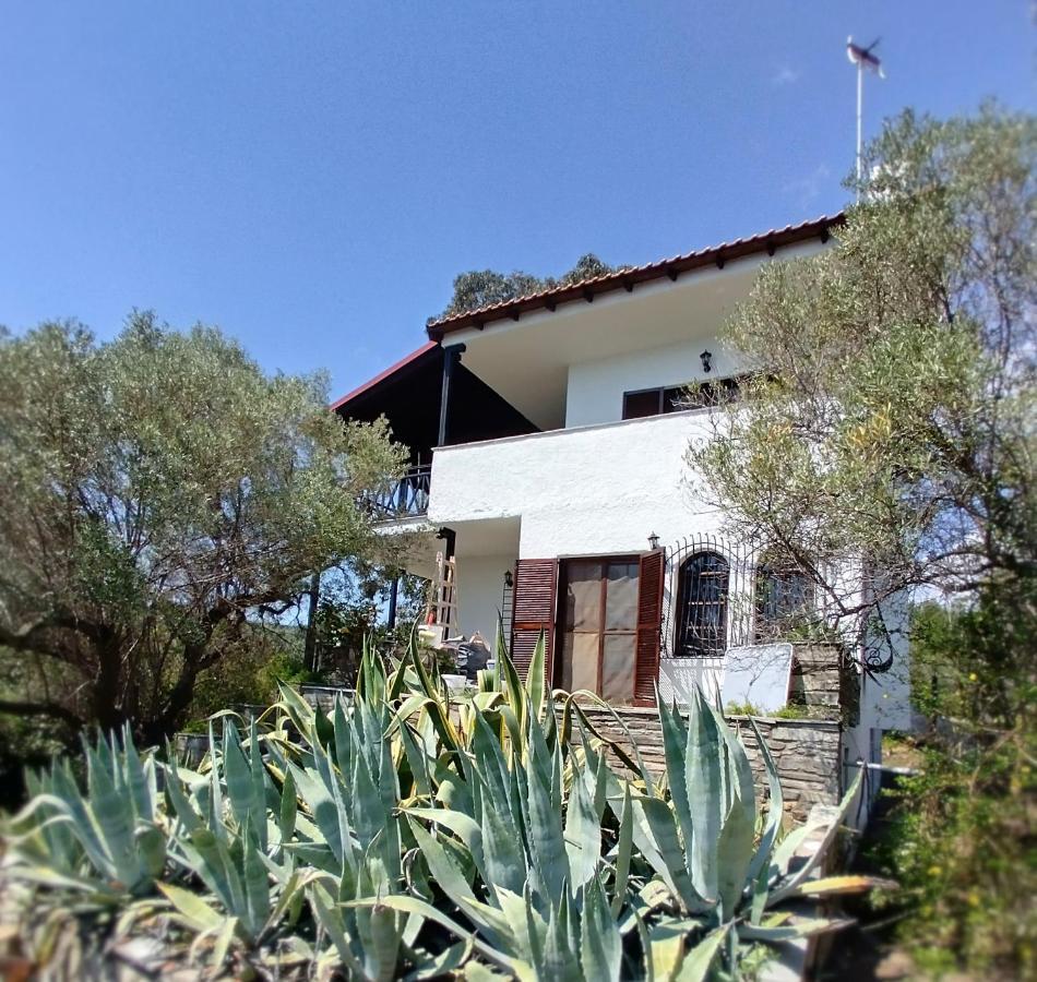 Mike's Seaside House * Akti Salonikiou