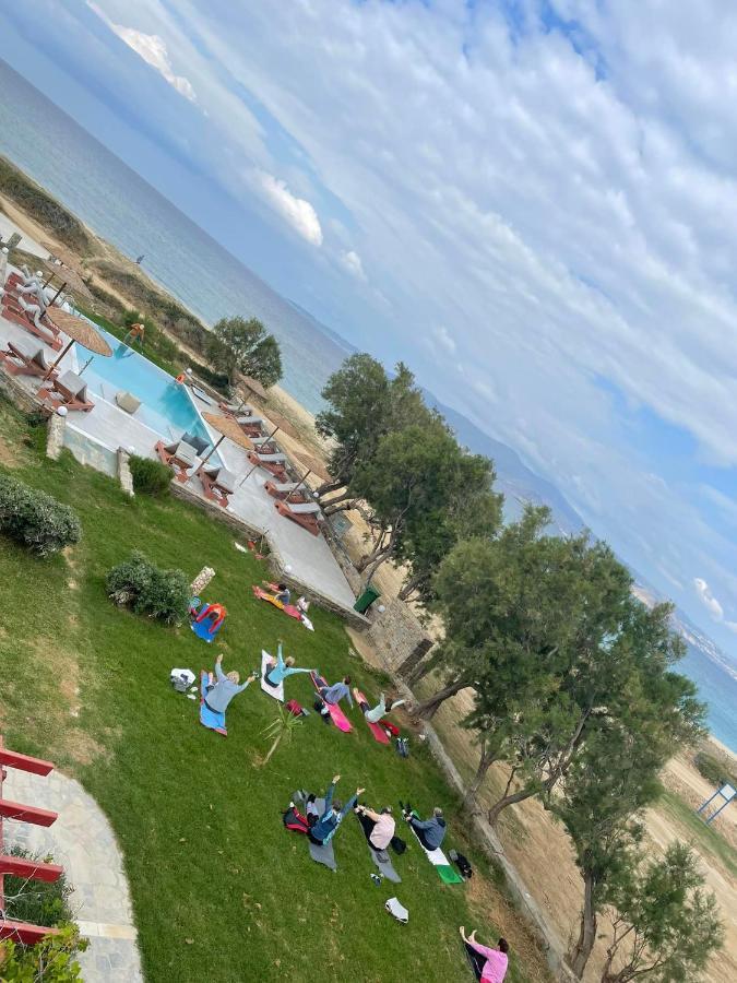 Acti 2*