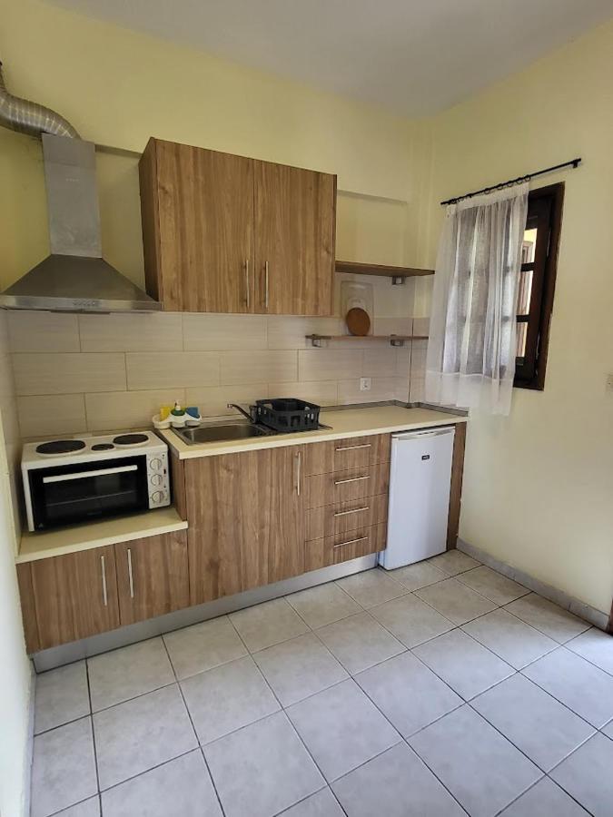 Nikos Apartment Psakoudia