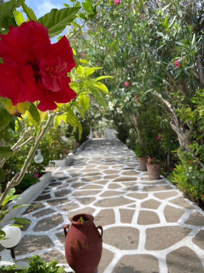 Apartment Seaside Karpathos Arkasa