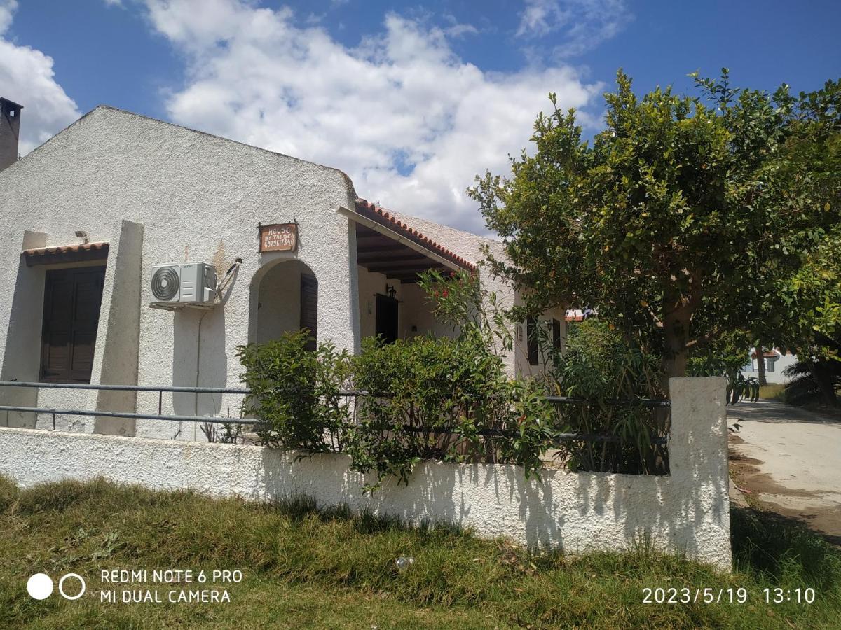 House By The Sea Artemida (Attica)
