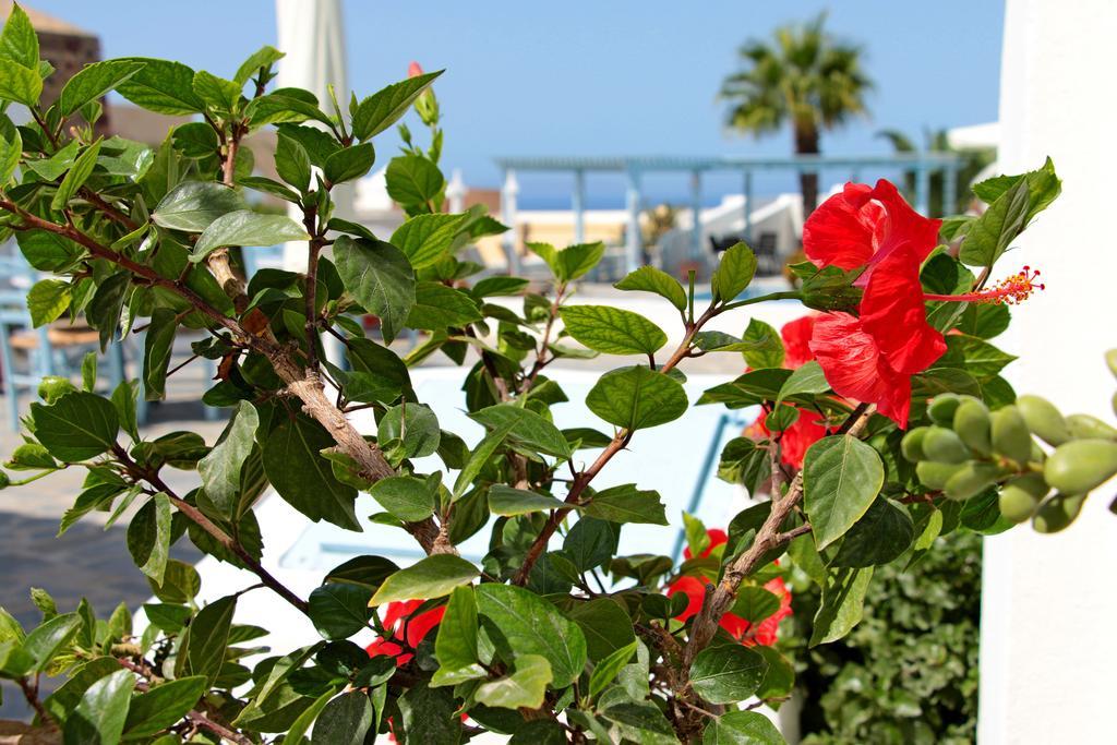 Aparthotel Aethrio Sunset Village - 3*