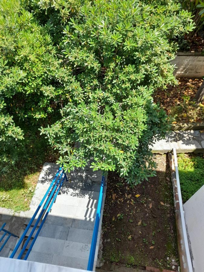 Maisonette Basilissa * Nea Poteidaia