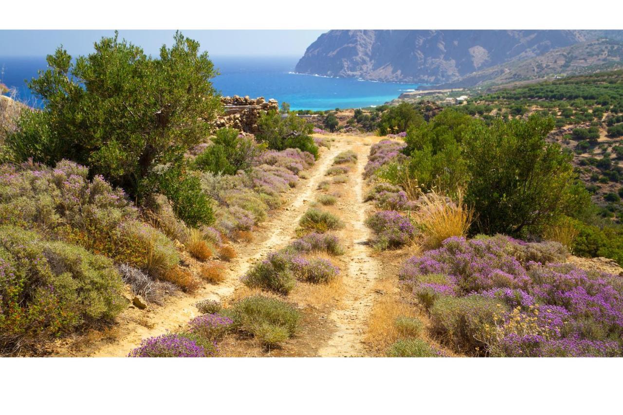 X Village 3* Melidhonion (Rethymno)