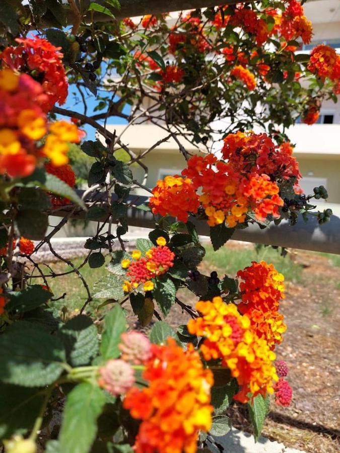 Apartment Dimageo Life Chania (Crete)