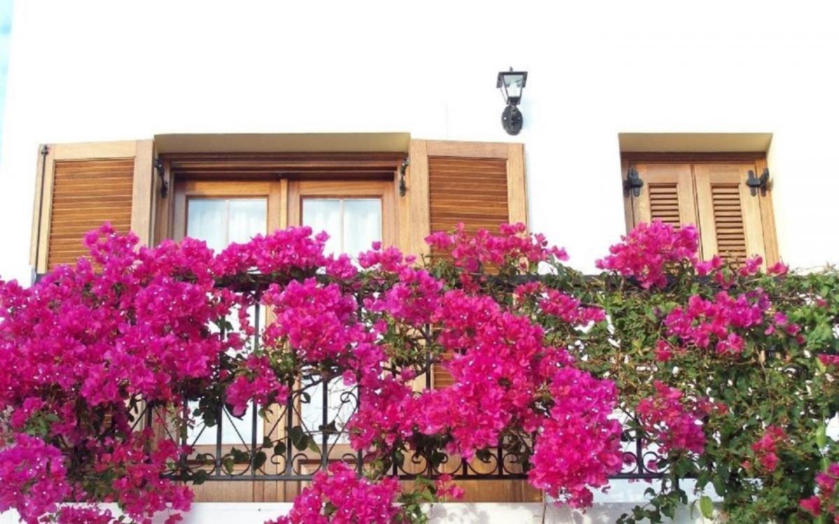 Benigna Apartment